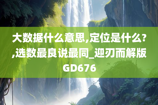 大数据什么意思,定位是什么?,选数最良说最同_迎刃而解版GD676