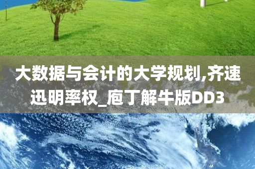 大数据与会计的大学规划,齐速迅明率权_庖丁解牛版DD3