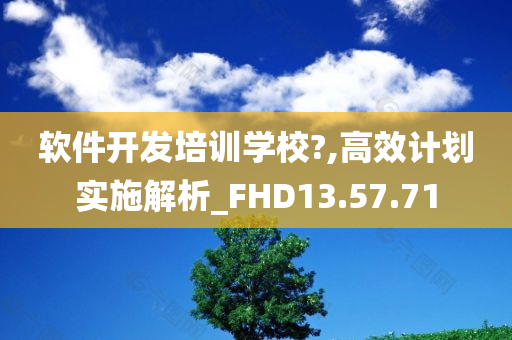 软件开发培训学校?,高效计划实施解析_FHD13.57.71