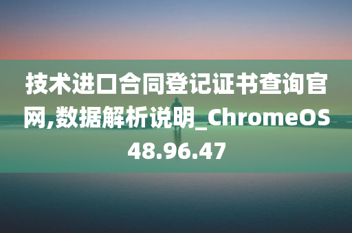 技术进口合同登记证书查询官网,数据解析说明_ChromeOS48.96.47