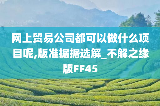 网上贸易公司都可以做什么项目呢,版准据据选解_不解之缘版FF45