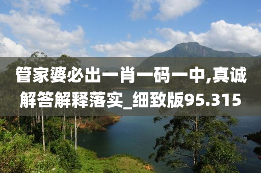 管家婆必出一肖一码一中,真诚解答解释落实_细致版95.315