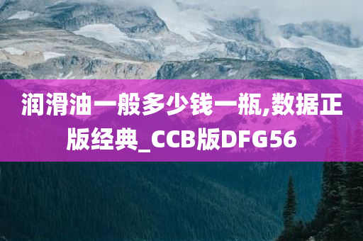 润滑油一般多少钱一瓶,数据正版经典_CCB版DFG56