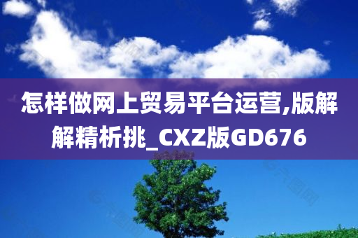 怎样做网上贸易平台运营,版解解精析挑_CXZ版GD676