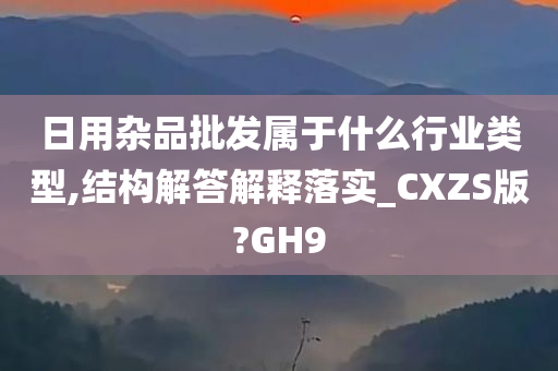 日用杂品批发属于什么行业类型,结构解答解释落实_CXZS版?GH9