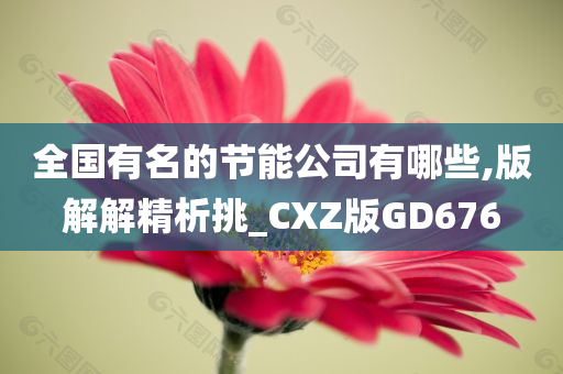 全国有名的节能公司有哪些,版解解精析挑_CXZ版GD676