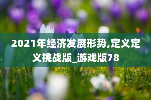 2021年经济发展形势,定义定义挑战版_游戏版78