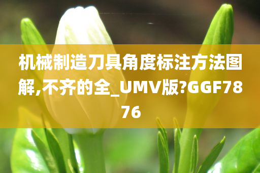 机械制造刀具角度标注方法图解,不齐的全_UMV版?GGF7876