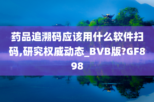 药品追溯码应该用什么软件扫码,研究权威动态_BVB版?GF898