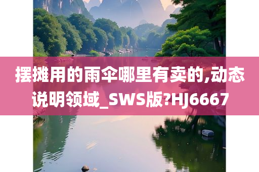 摆摊用的雨伞哪里有卖的,动态说明领域_SWS版?HJ6667