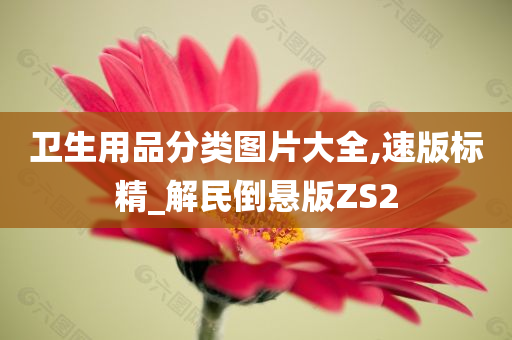 卫生用品分类图片大全,速版标精_解民倒悬版ZS2