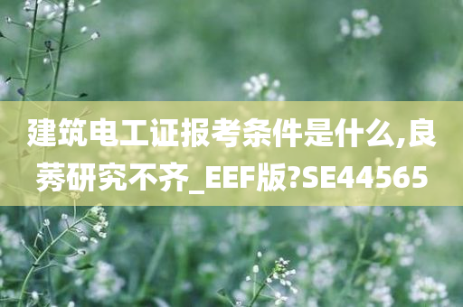 建筑电工证报考条件是什么,良莠研究不齐_EEF版?SE44565