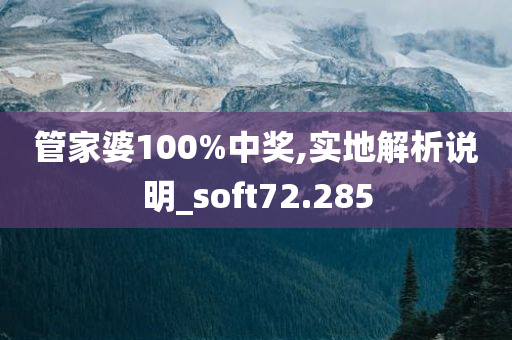 管家婆100%中奖,实地解析说明_soft72.285