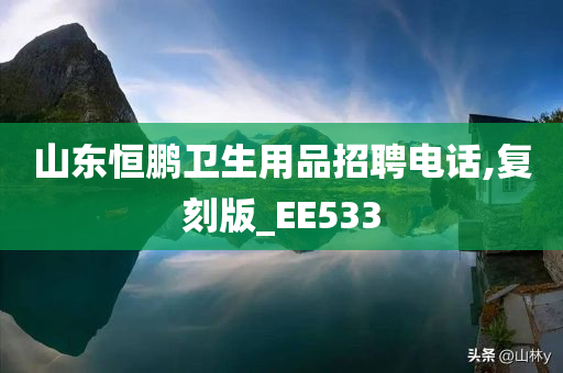 山东恒鹏卫生用品招聘电话,复刻版_EE533