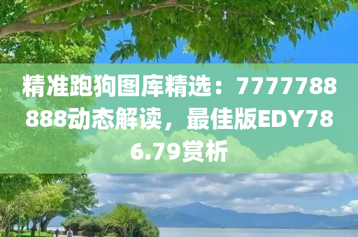 精准跑狗图库精选：7777788888动态解读，最佳版EDY786.79赏析