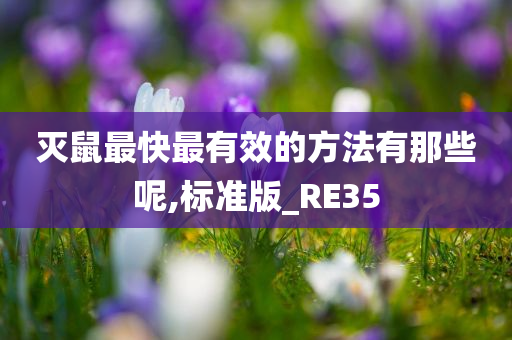 灭鼠最快最有效的方法有那些呢,标准版_RE35