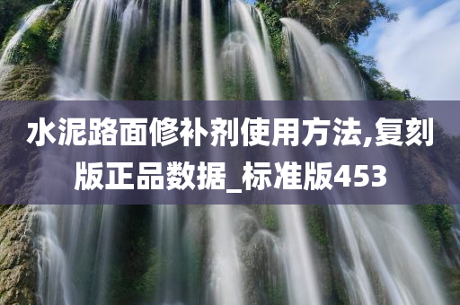 水泥路面修补剂使用方法,复刻版正品数据_标准版453