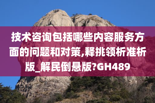 技术咨询包括哪些内容服务方面的问题和对策,释挑领析准析版_解民倒悬版?GH489