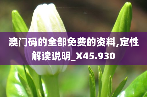 澳门码的全部免费的资料,定性解读说明_X45.930