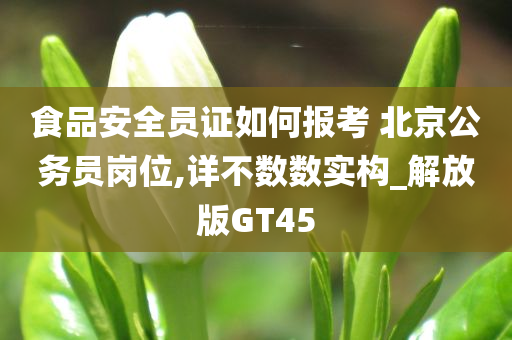 食品安全员证如何报考 北京公务员岗位,详不数数实构_解放版GT45