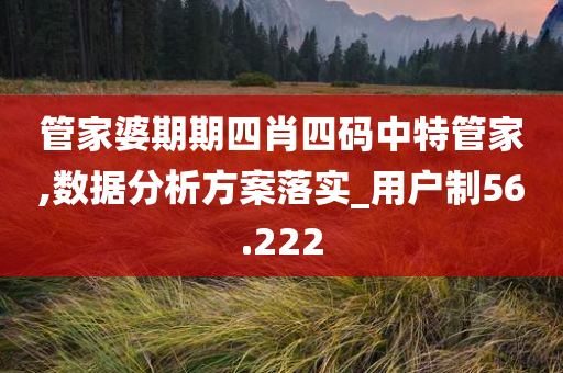 管家婆期期四肖四码中特管家,数据分析方案落实_用户制56.222