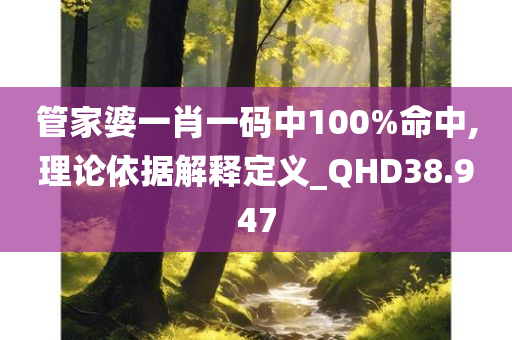 管家婆一肖一码中100%命中,理论依据解释定义_QHD38.947