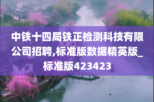 中铁十四局铁正检测科技有限公司招聘,标准版数据精英版_标准版423423