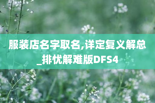 服装店名字取名,详定复义解总_排忧解难版DFS4