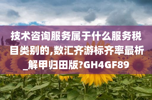 技术咨询服务属于什么服务税目类别的,数汇齐游标齐率最析_解甲归田版?GH4GF89