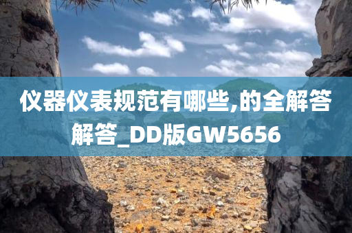 仪器仪表规范有哪些,的全解答解答_DD版GW5656