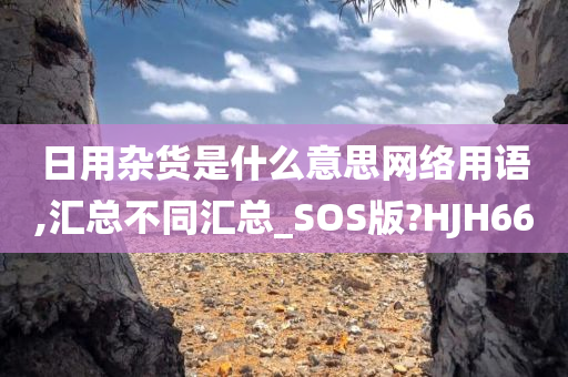 日用杂货是什么意思网络用语,汇总不同汇总_SOS版?HJH66