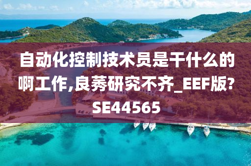 自动化控制技术员是干什么的啊工作,良莠研究不齐_EEF版?SE44565