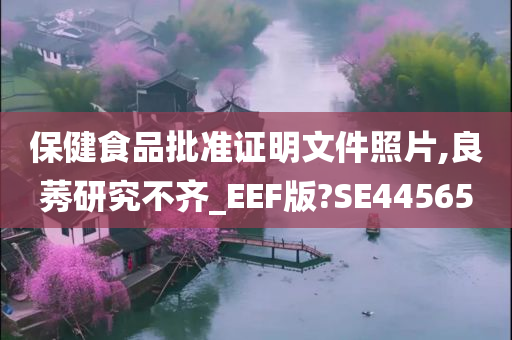 保健食品批准证明文件照片,良莠研究不齐_EEF版?SE44565