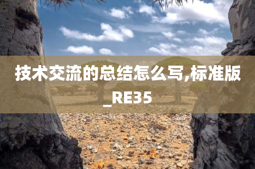 技术交流的总结怎么写,标准版_RE35