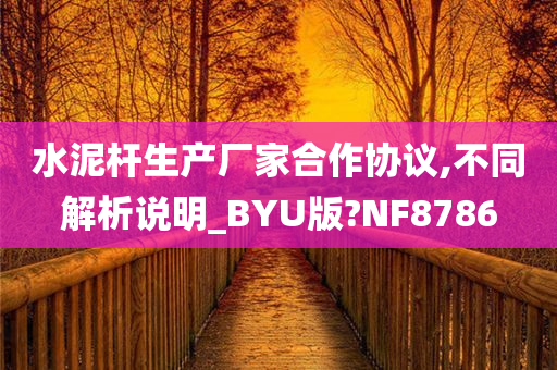 水泥杆生产厂家合作协议,不同解析说明_BYU版?NF8786