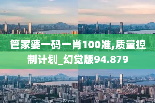 管家婆一码一肖100准,质量控制计划_幻觉版94.879