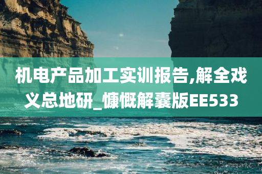 机电产品加工实训报告,解全戏义总地研_慷慨解囊版EE533