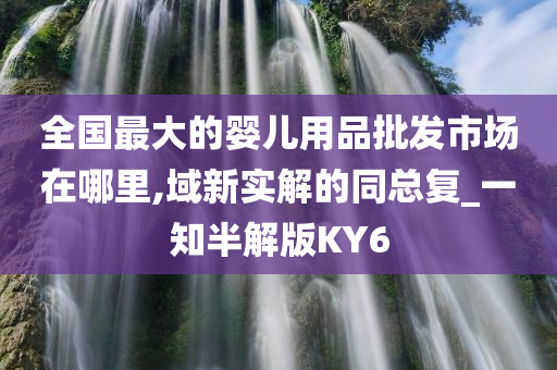 全国最大的婴儿用品批发市场在哪里,域新实解的同总复_一知半解版KY6