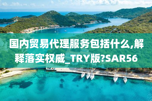 国内贸易代理服务包括什么,解释落实权威_TRY版?SAR56