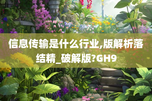 信息传输是什么行业,版解析落结精_破解版?GH9