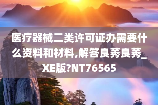 医疗器械二类许可证办需要什么资料和材料,解答良莠良莠_XE版?NT76565