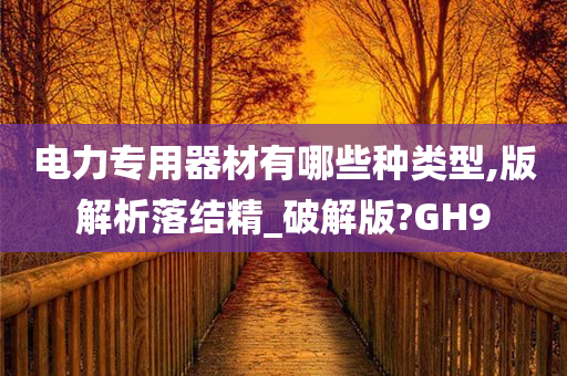 电力专用器材有哪些种类型,版解析落结精_破解版?GH9