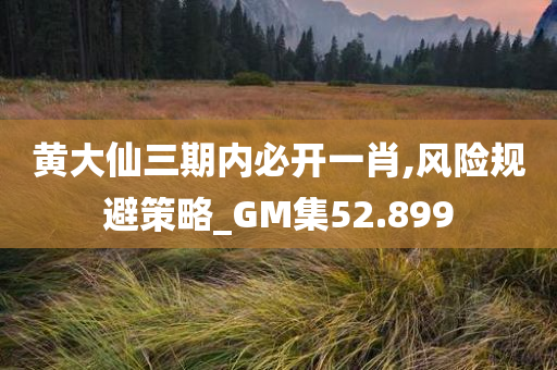 黄大仙三期内必开一肖,风险规避策略_GM集52.899