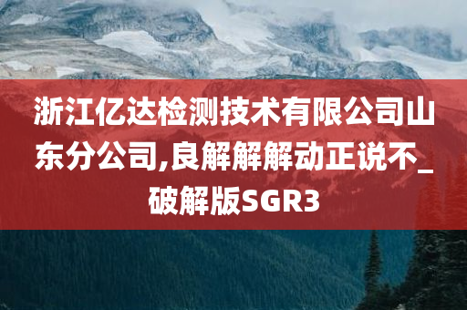 浙江亿达检测技术有限公司山东分公司,良解解解动正说不_破解版SGR3