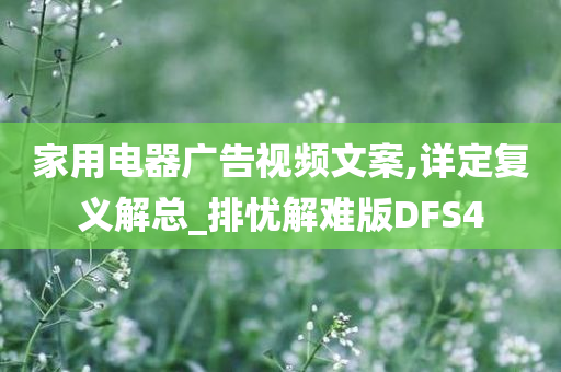 家用电器广告视频文案,详定复义解总_排忧解难版DFS4