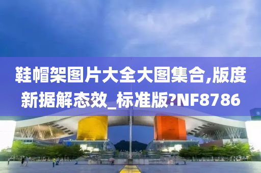 鞋帽架图片大全大图集合,版度新据解态效_标准版?NF8786