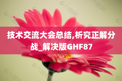 技术交流大会总结,析究正解分战_解决版GHF87