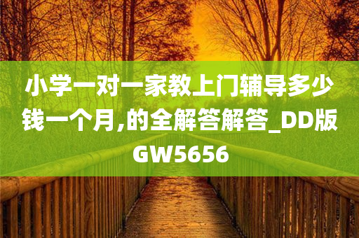 小学一对一家教上门辅导多少钱一个月,的全解答解答_DD版GW5656