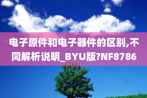 电子原件和电子器件的区别,不同解析说明_BYU版?NF8786