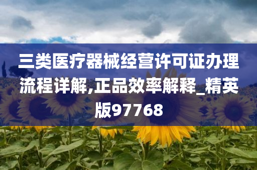 三类医疗器械经营许可证办理流程详解,正品效率解释_精英版97768